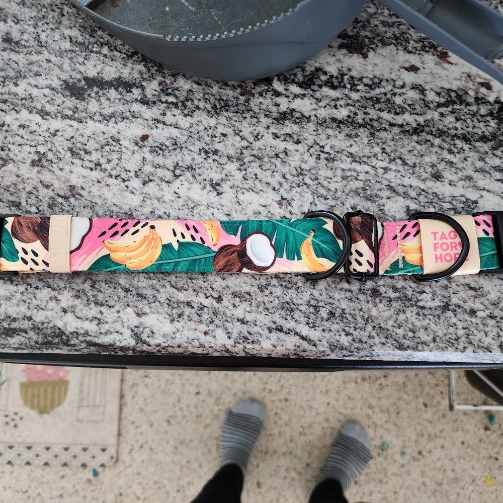 Medium Tropical Tags for Hope dog collar
